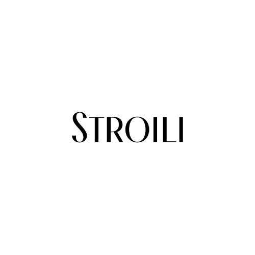 Centro Commerciale Euro Torri | STROILI